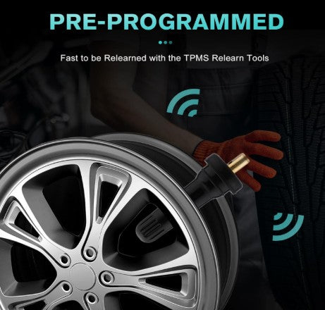 Replacement Rubber TPMS Valve Stem - PAQ X 10